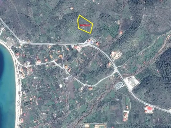 Land In Sithonia, Greece