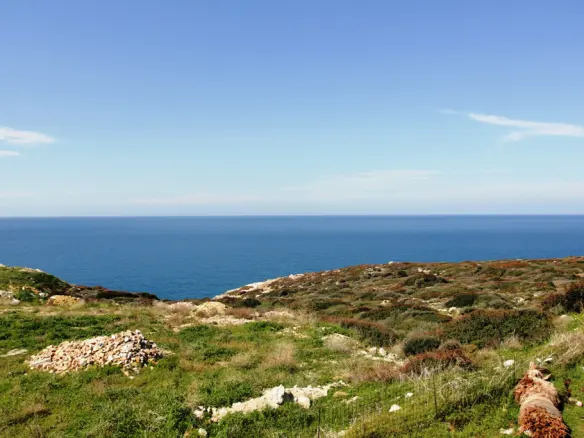Land In Arkadi, Greece
