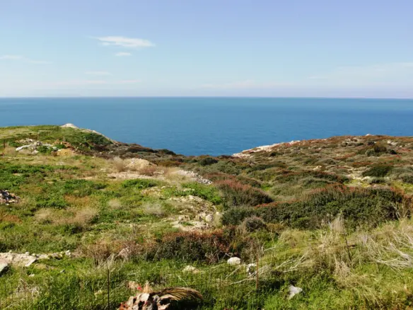 Land In Arkadi, Greece