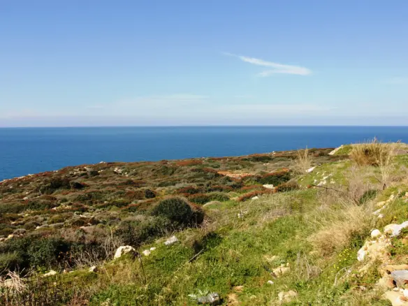 Land In Arkadi, Greece