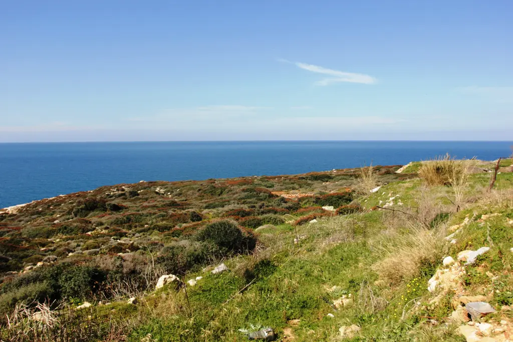 Land Of 39030 M² In Crete