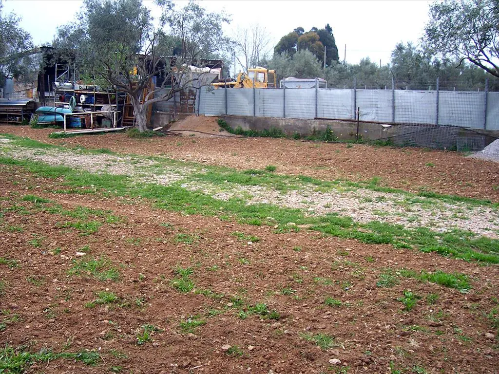 Land Of 1200 M² In Euboea Island