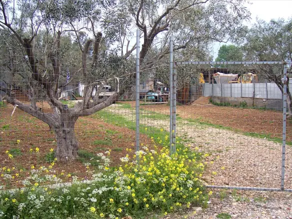 Land Of 1200 M² In Euboea Island