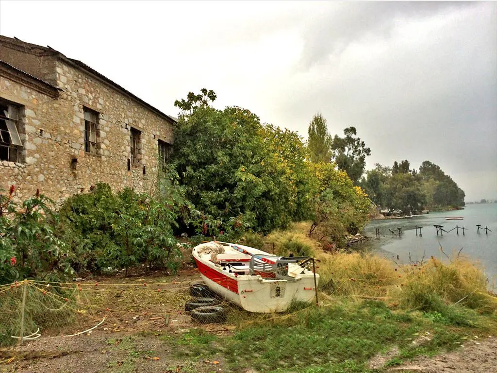 Land Of 3500 M² On Euboea Island
