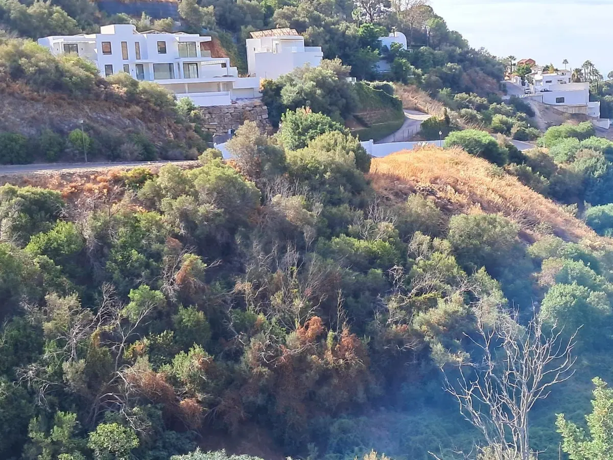 Apartment Of 0 M² In Marbella, Málaga, Spain