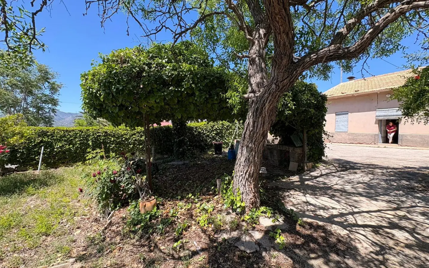 Country House Of 150 M² In La Romana, Spain
