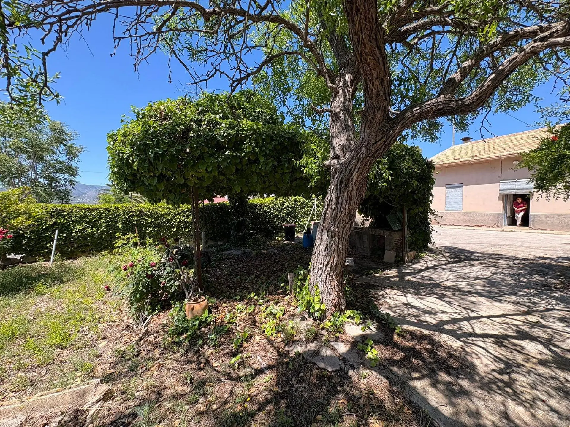 Country House Of 150 M² In La Romana, Spain