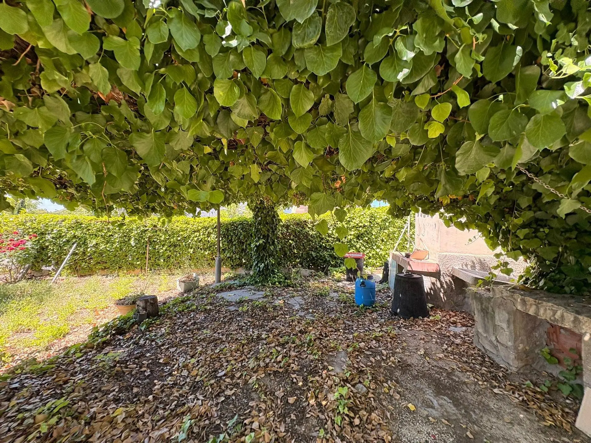 Country House Of 150 M² In La Romana, Spain
