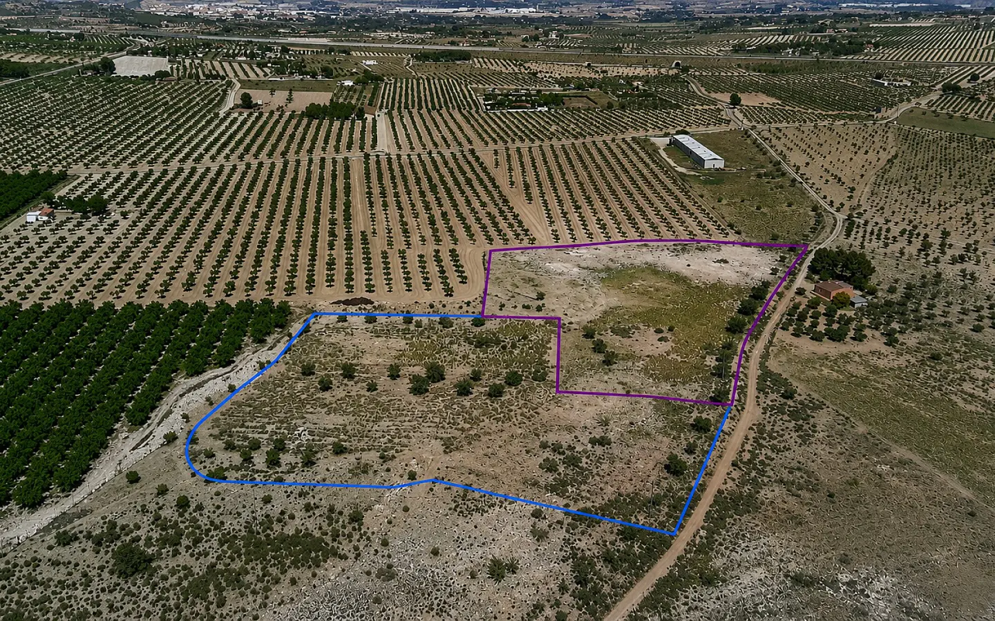 Land In Salinas, Spain (10.093 M² Plot)