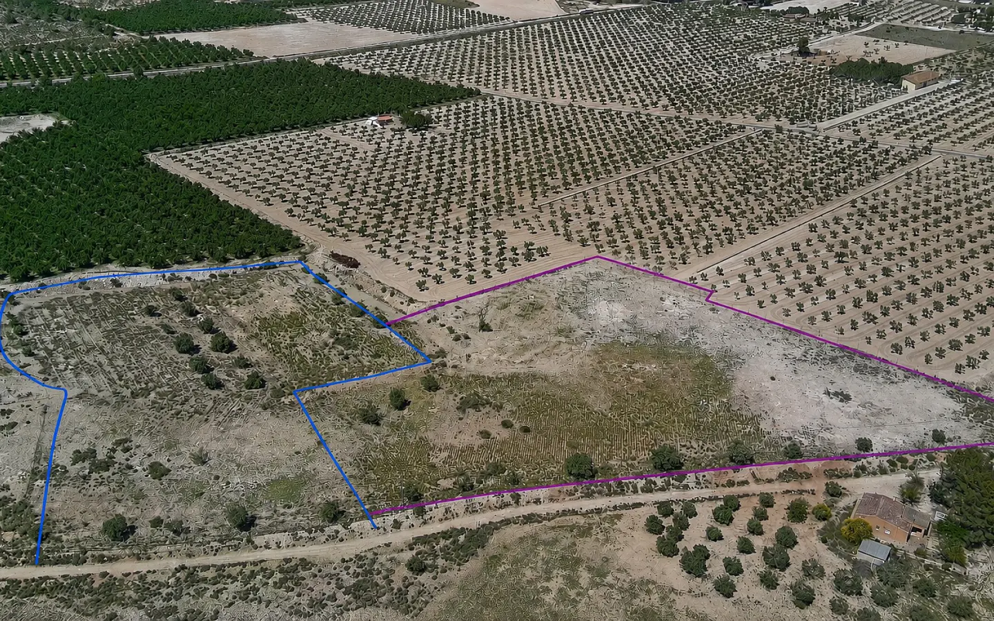 Land In Salinas, Spain (10.093 M² Plot)