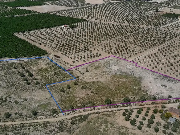 Land In Salinas, Spain (10.093 M² Plot)