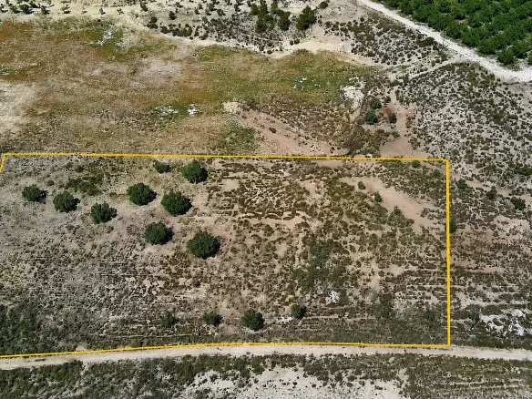 Land In Salinas, Spain (10.093 M² Plot)