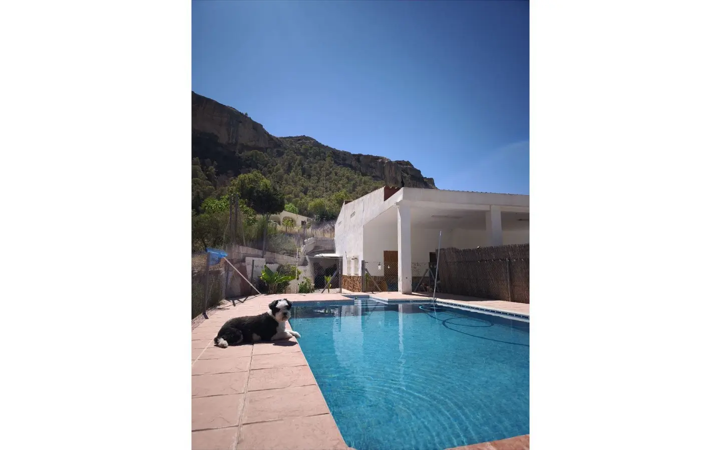 Finca Of 150 M² In Crevillente, Spain