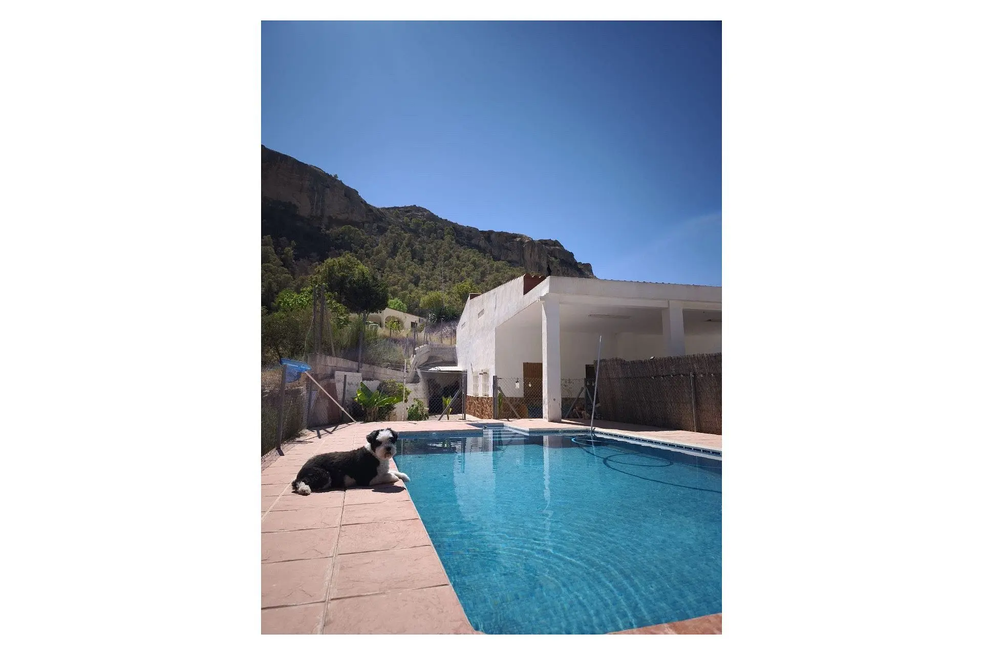 Finca Of 150 M² In Crevillente, Spain