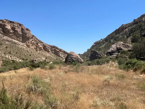 4-bedroom Finca In Crevillente, Spain (150 M²)
