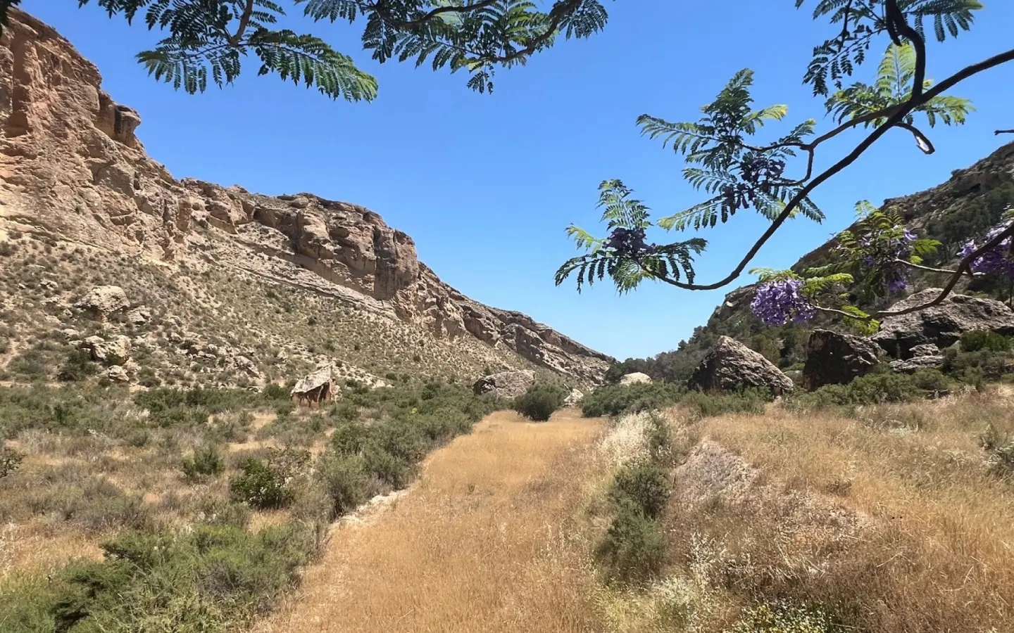 Finca Of 150 M² In Crevillente, Spain