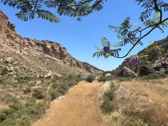 4-bedroom Finca In Crevillente, Spain (150 M²)