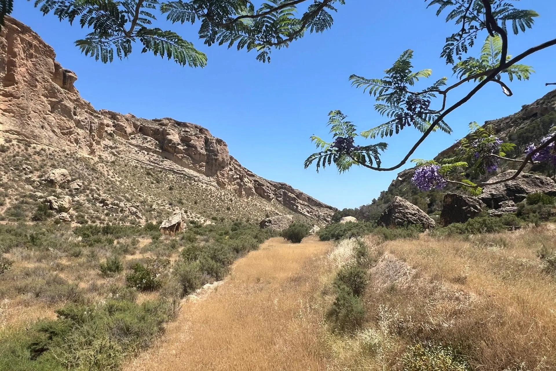 Finca Of 150 M² In Crevillente, Spain