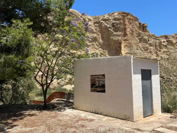 4-bedroom Finca In Crevillente, Spain (150 M²)