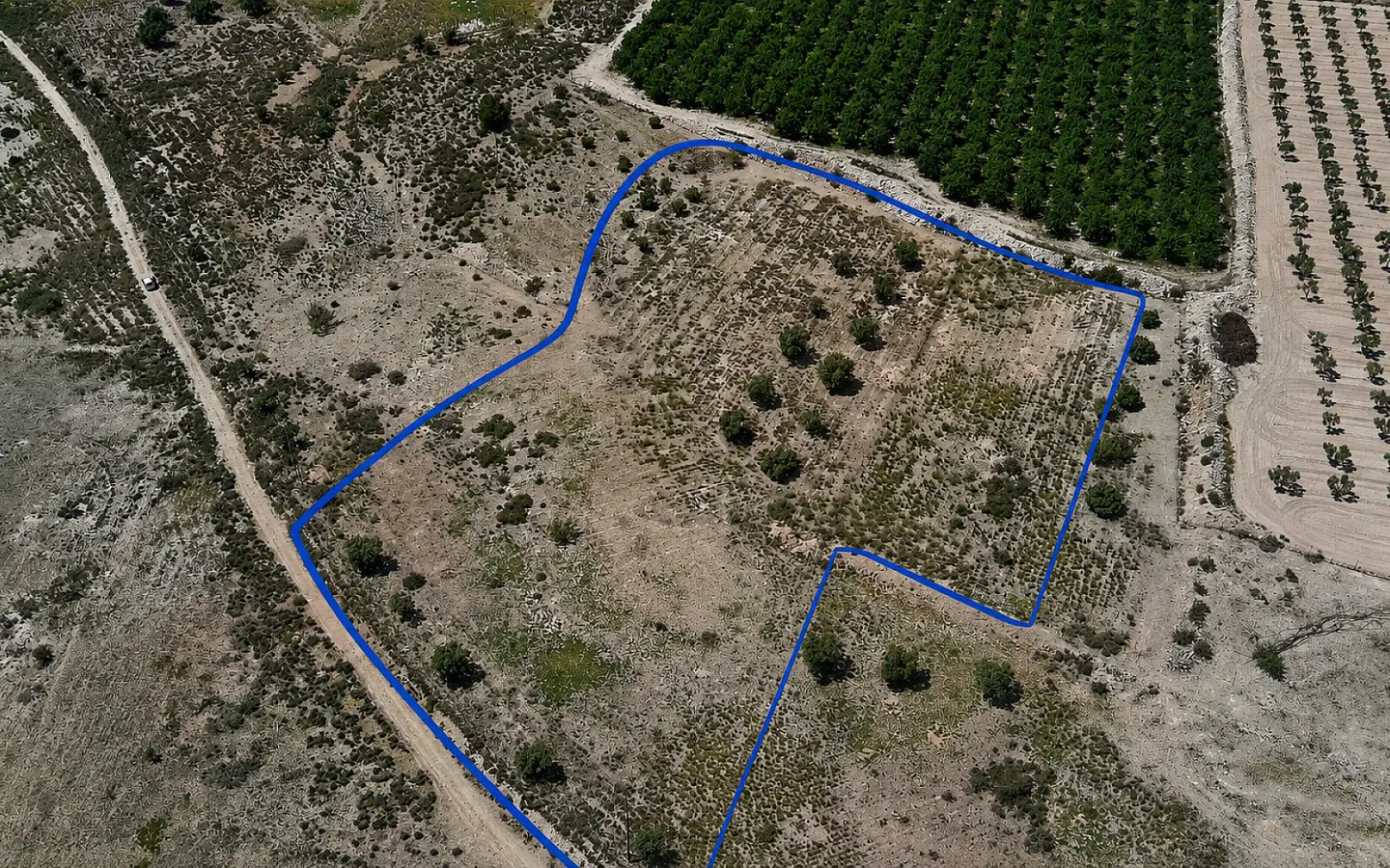 Land In Salinas, Spain (10.093 M² Plot)