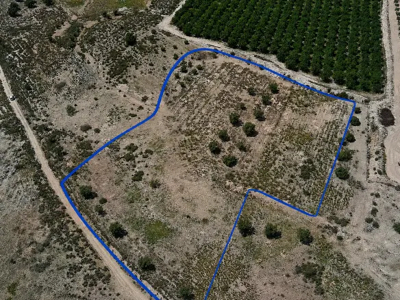 Land In Salinas, Spain (10.093 M² Plot)