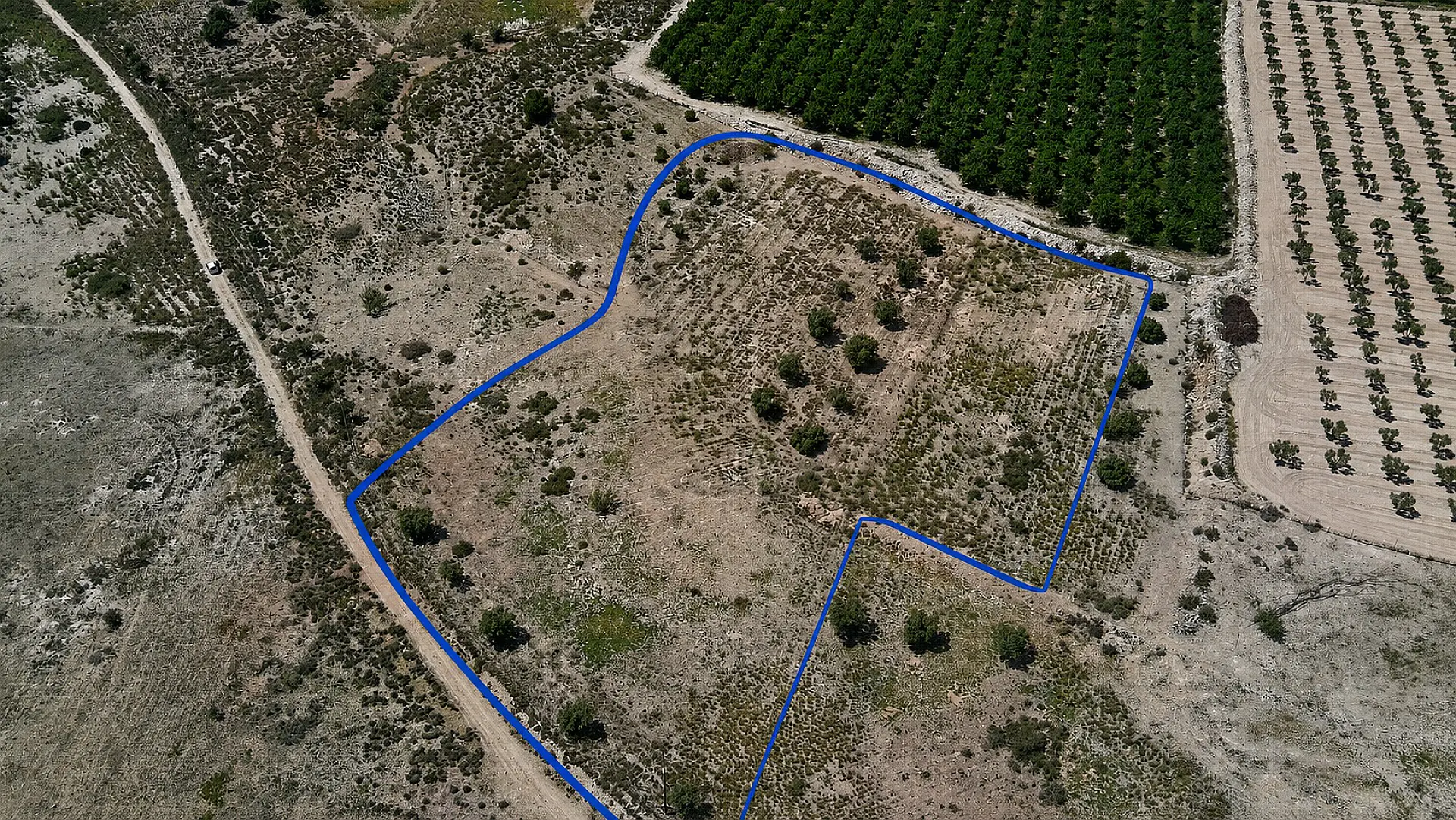 Land Of 0 M² In Salinas, Spain