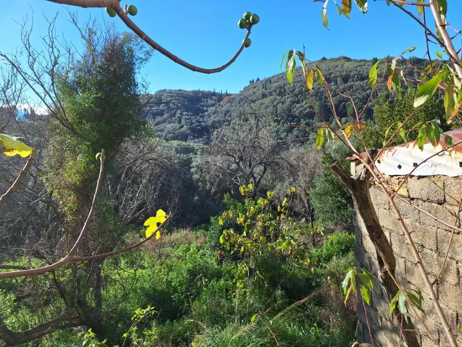 Maisonette Of 121 M² In Corfu