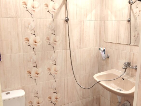 Authentic Property With Business Potential In Dalboki Village, Stara Zagora Region