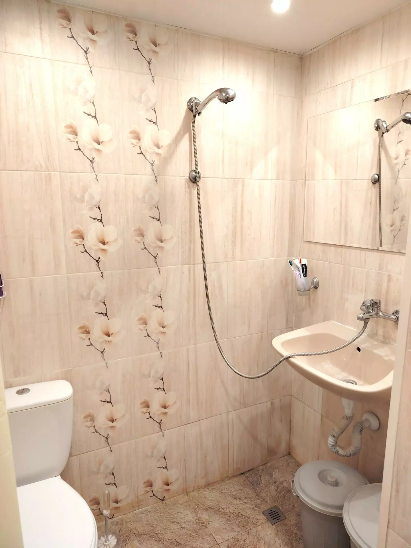 Authentic Property With Business Potential In Dalboki Village, Stara Zagora Region