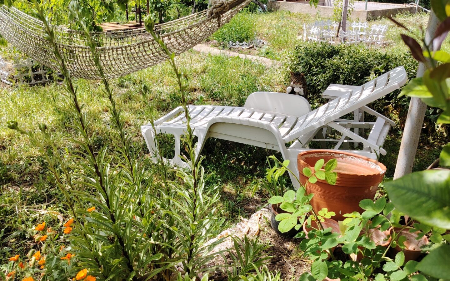 Authentic Property With Business Potential In Dalboki Village, Stara Zagora Region
