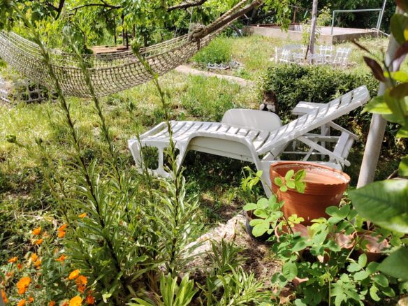 Authentic Property With Business Potential In Dalboki Village, Stara Zagora Region
