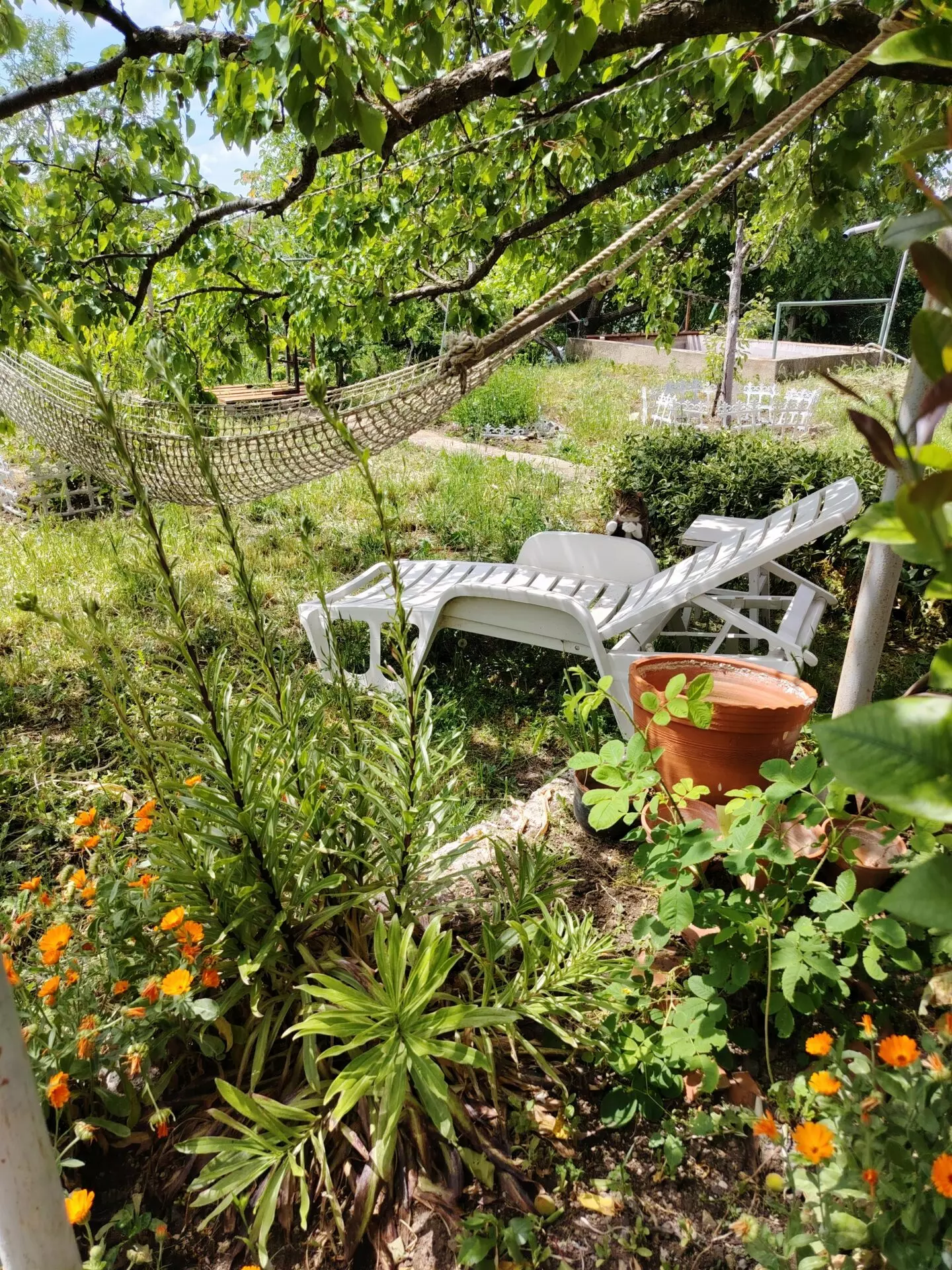 Authentic Property With Business Potential In Dalboki Village, Stara Zagora Region