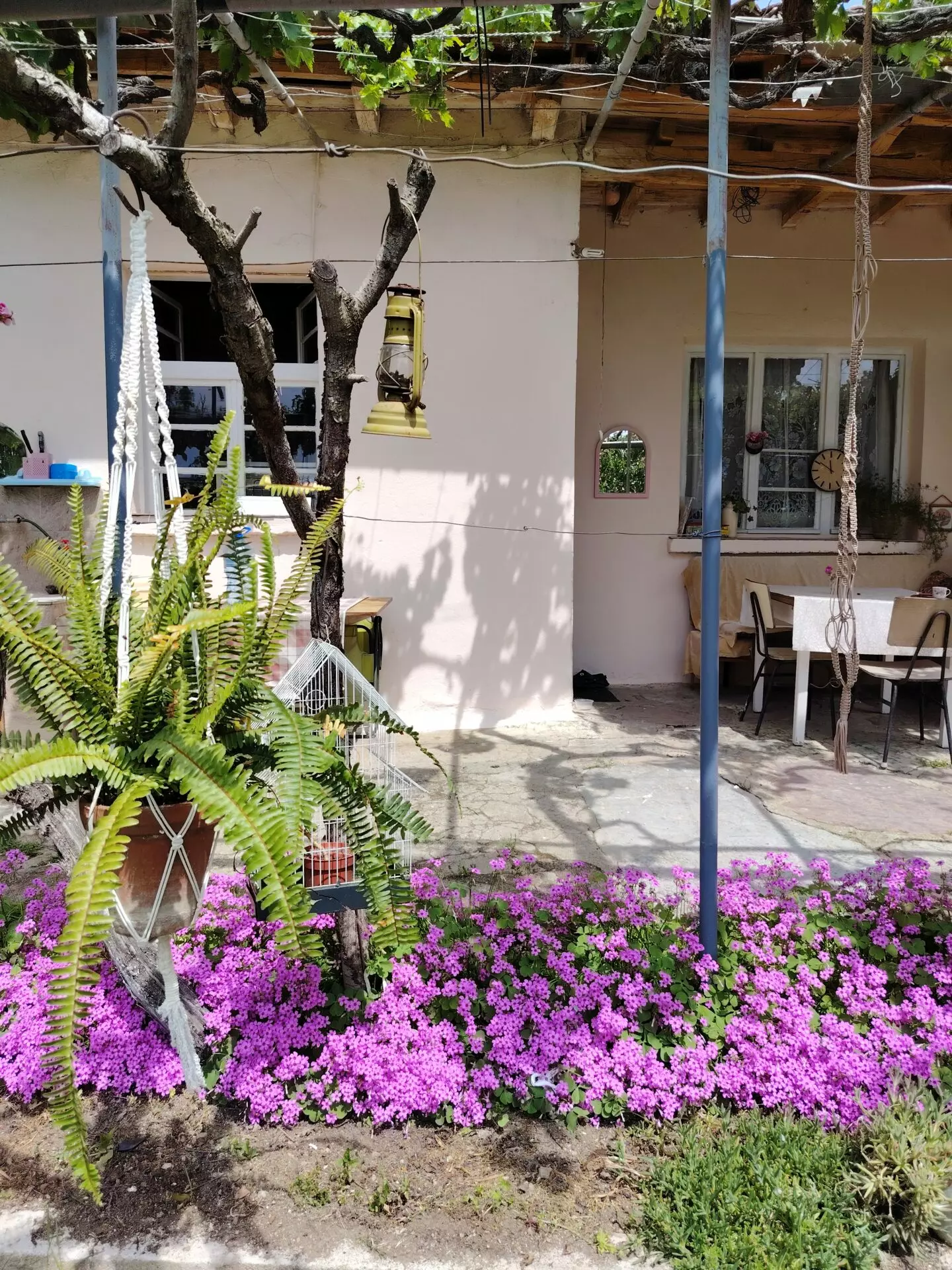 Authentic Property With Business Potential In Dalboki Village, Stara Zagora Region