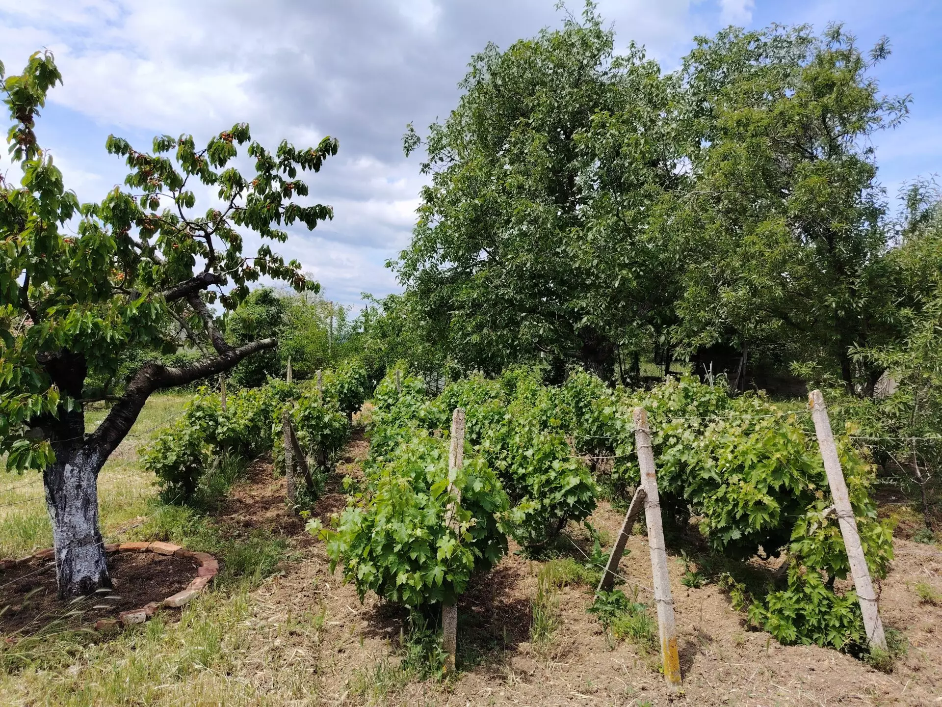 Authentic Property With Business Potential In Dalboki Village, Stara Zagora Region