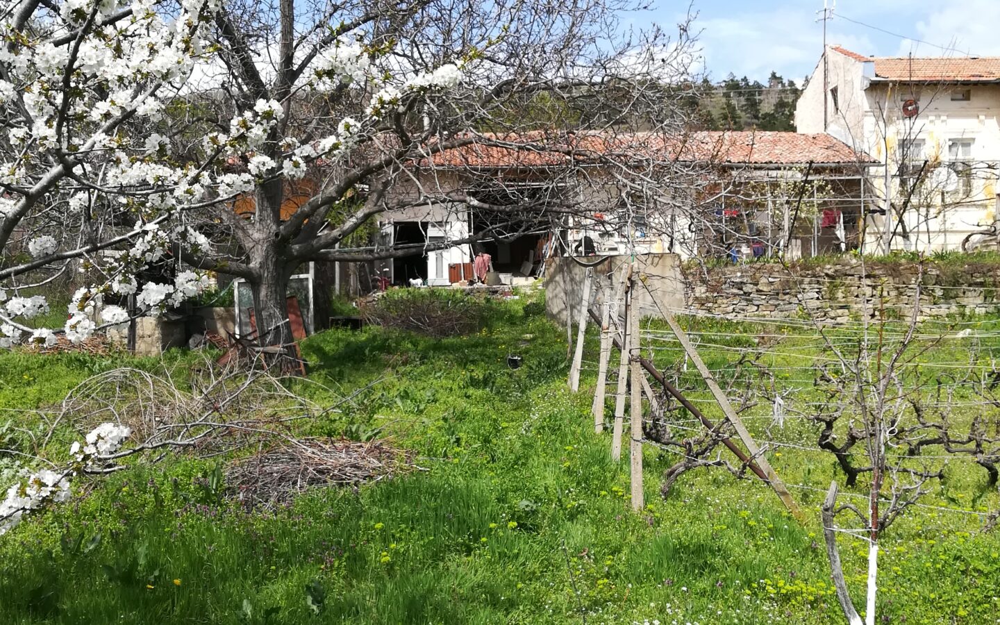 Authentic Property With Business Potential In Dalboki Village, Stara Zagora Region