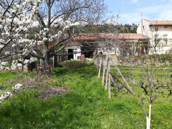Authentic Property With Business Potential In Dalboki Village, Stara Zagora Region