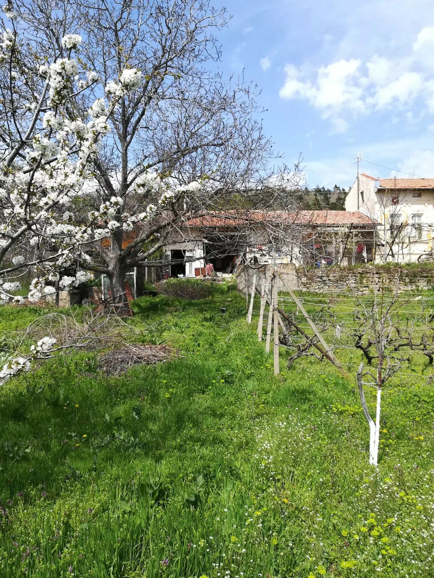 Authentic Property With Business Potential In Dalboki Village, Stara Zagora Region