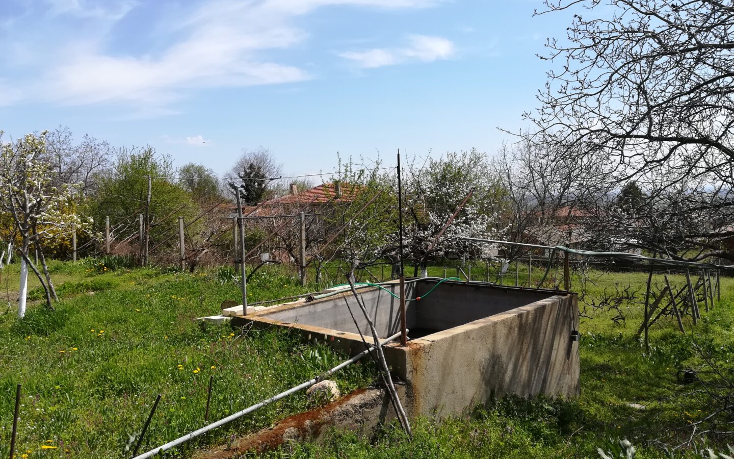 Authentic Property With Business Potential In Dalboki Village, Stara Zagora Region