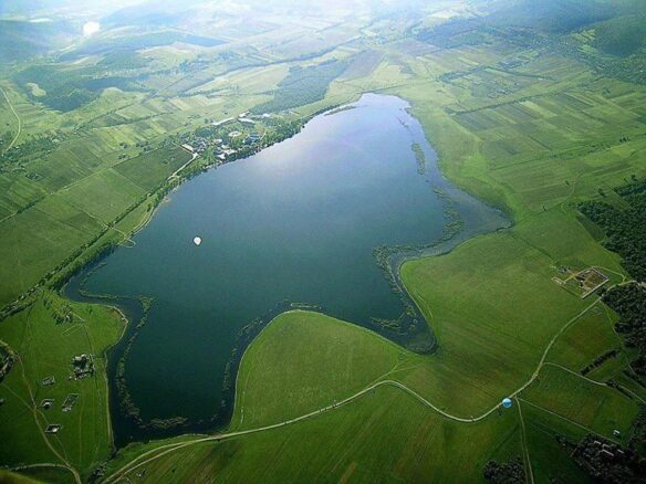 Agricultural Land Of 10000 M² In Bazaleti