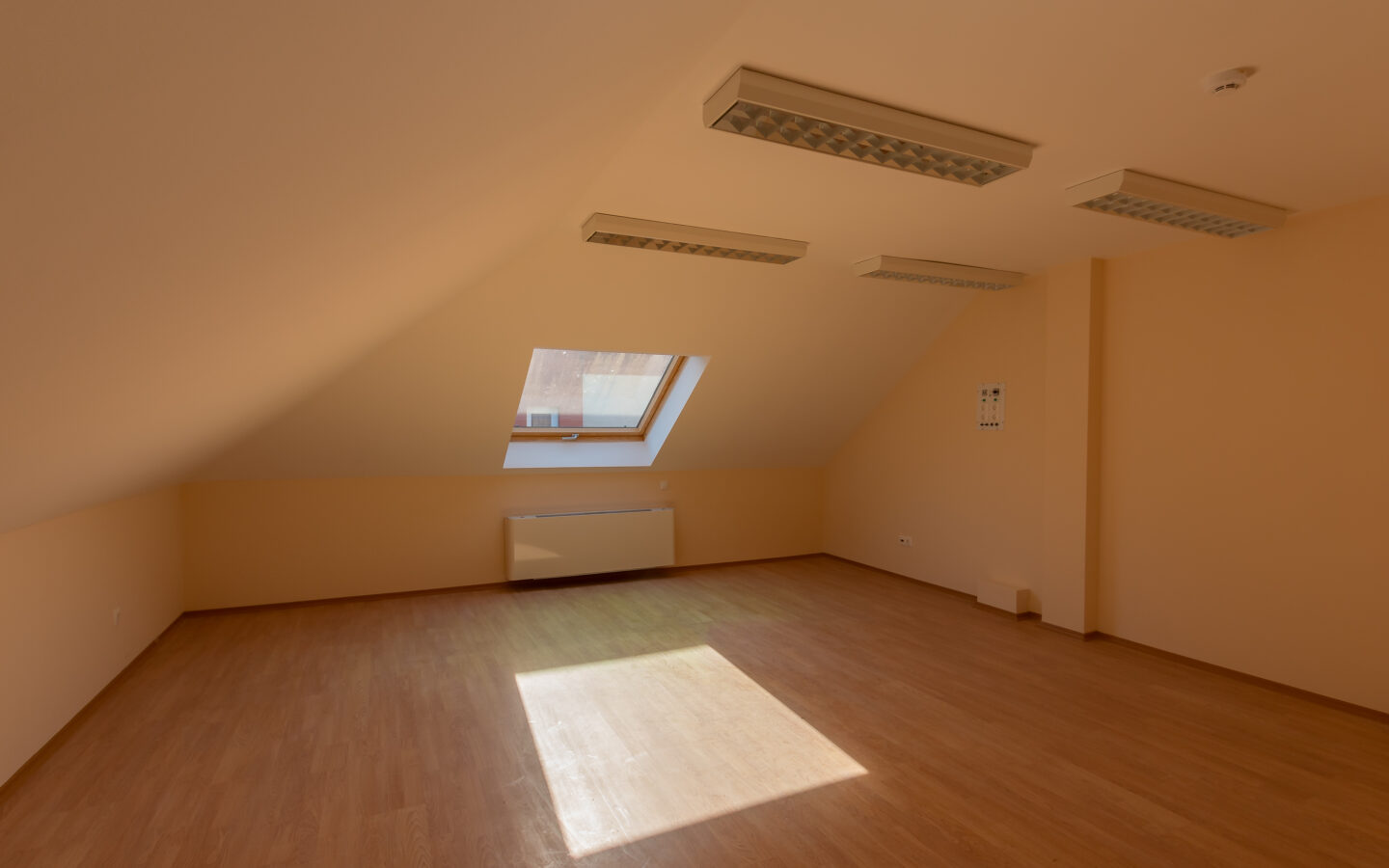 Multi-purpose Property