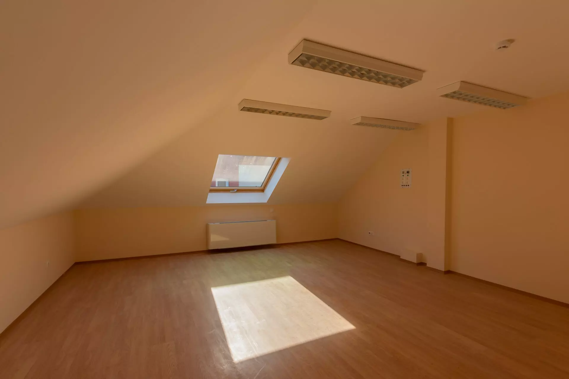 Multi-purpose Property