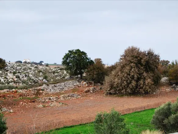 Land Of 8500 M² In Crete