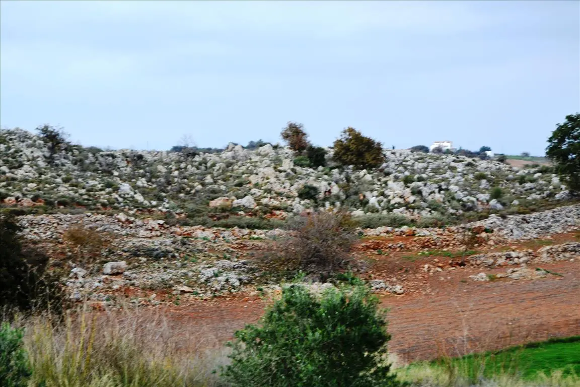 Land Of 8500 M² In Crete
