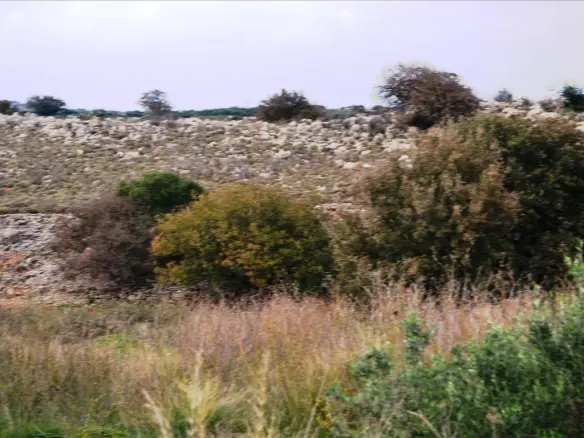 Land In Rethimno, Greece