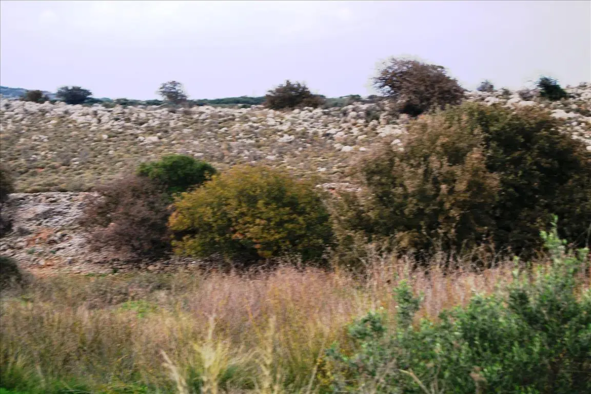 Land Of 8500 M² In Crete