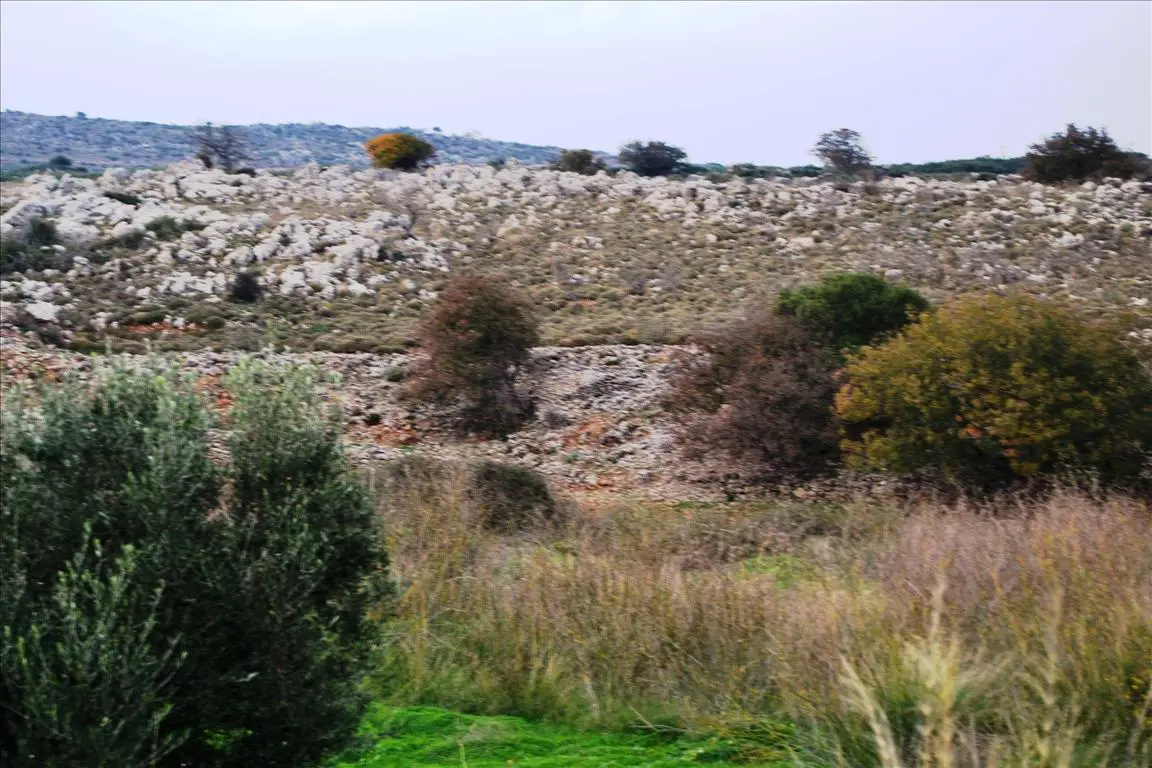 Land Of 8500 M² In Crete