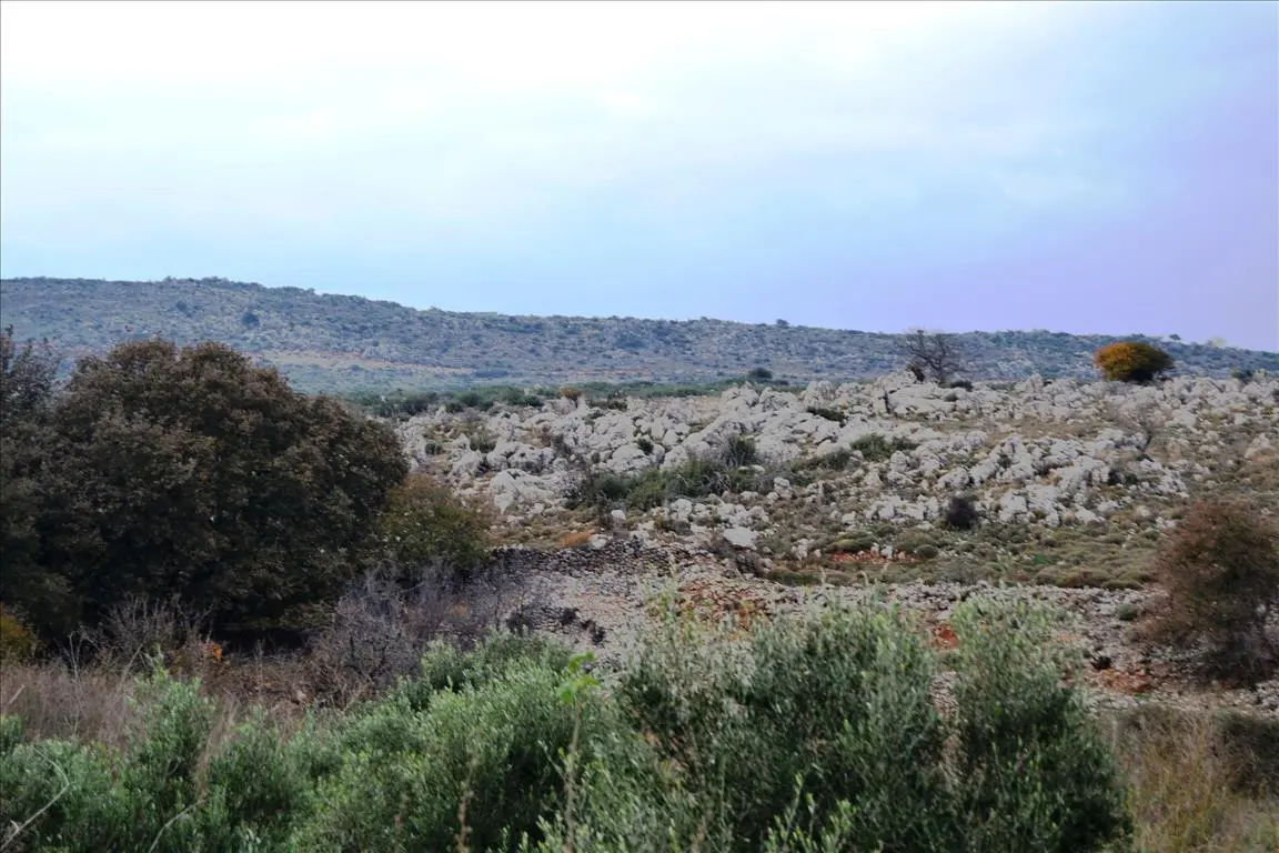 Land Of 8500 M² In Crete