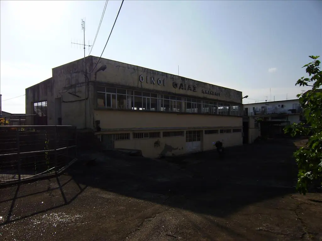 Business Of 560 M² In Corfu