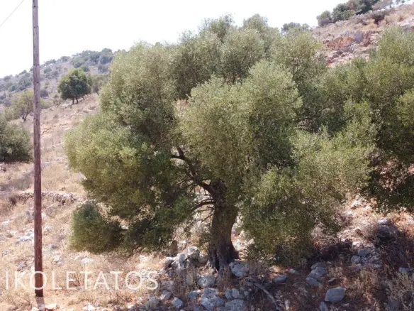 Discover Scenic Land In Skala Gradou, Greece