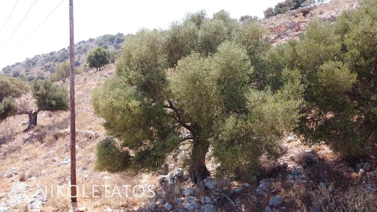 Discover Scenic Land In Skala Gradou, Greece
